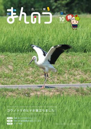 広報まんのう10月号の表紙(琴南地区で令和7年に生まれたコウノトリが羽ばたいている様子)