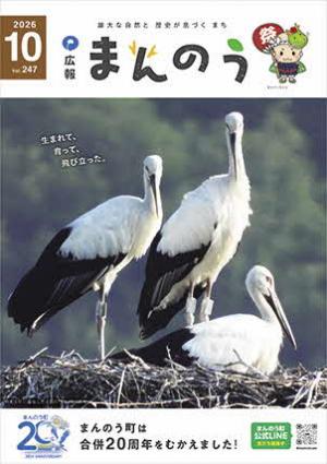 広報まんのう10月号の表紙（琴南地区で令和8年に生まれたコウノトリがこちらを見つめている様子）